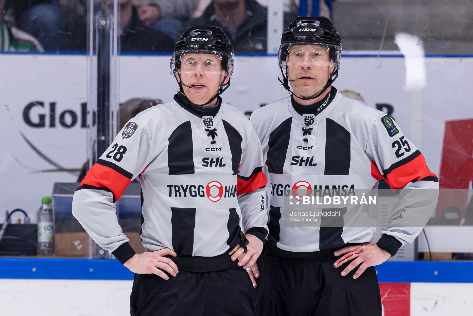 Domare Mikael Holm och Tobias Björk