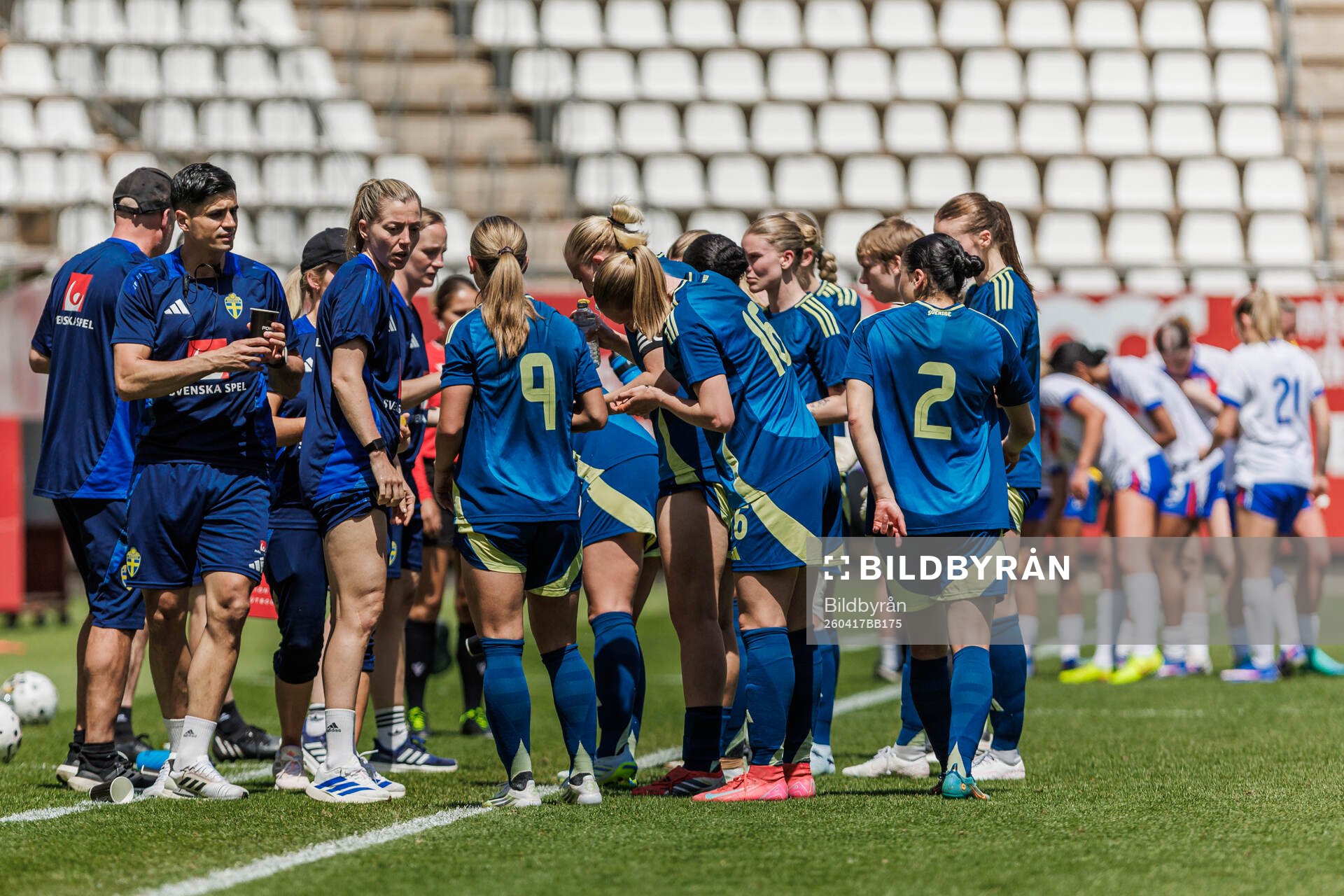 Players of Sweden