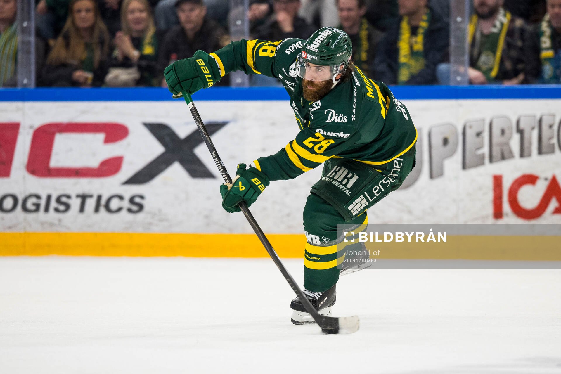 Björklövens Mathew Maione