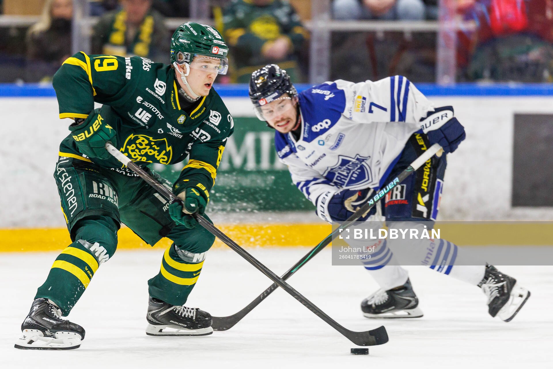 Björklövens Liam Dower Nilsson
