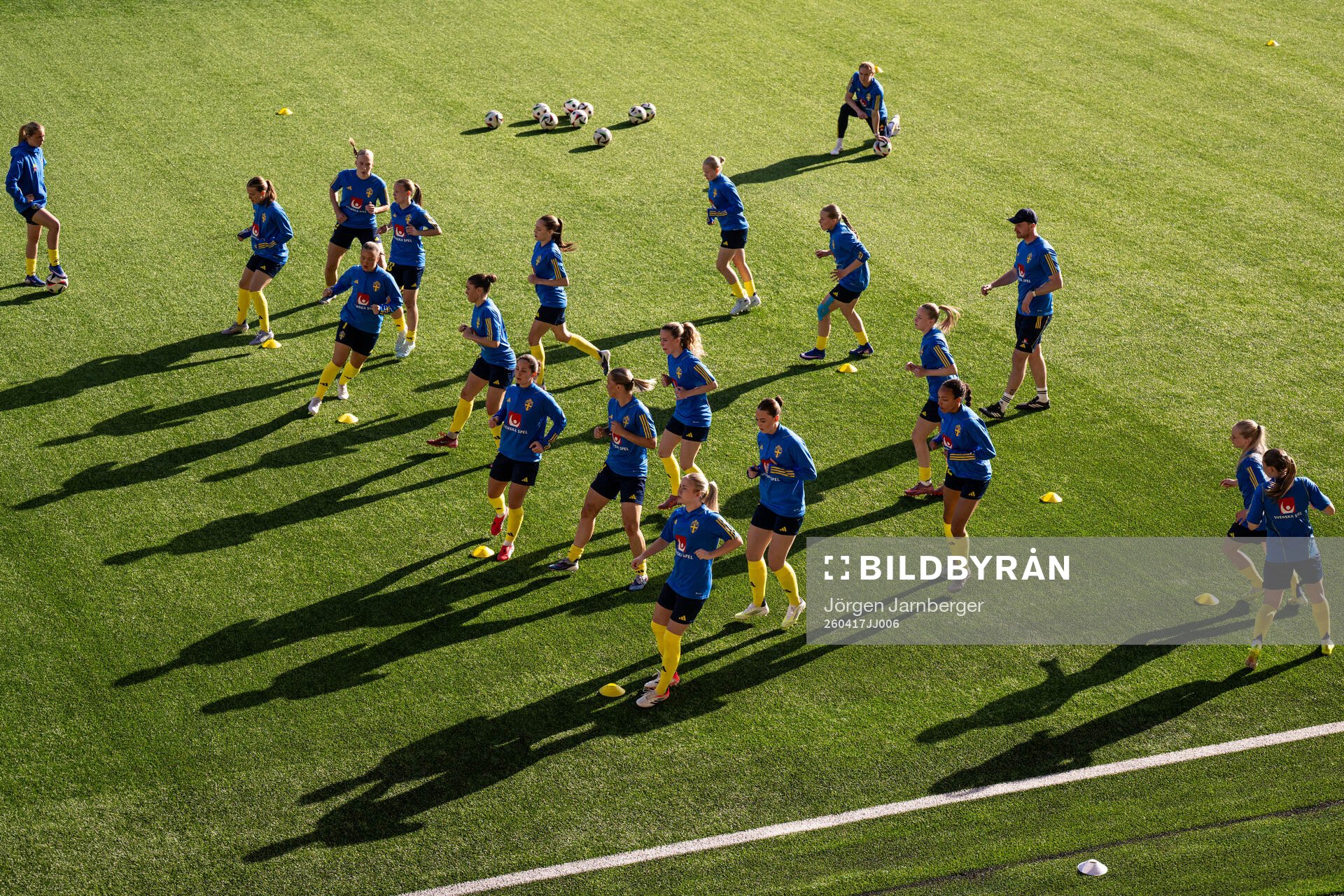 Players of Sweden