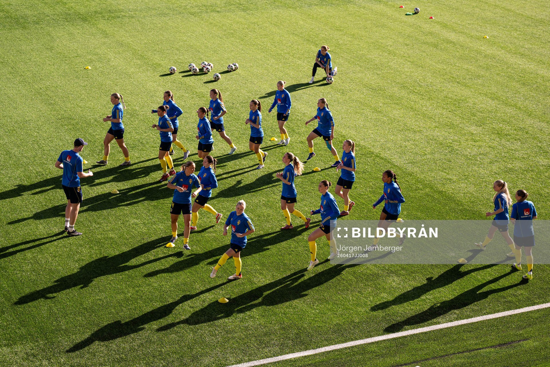 Players of Sweden