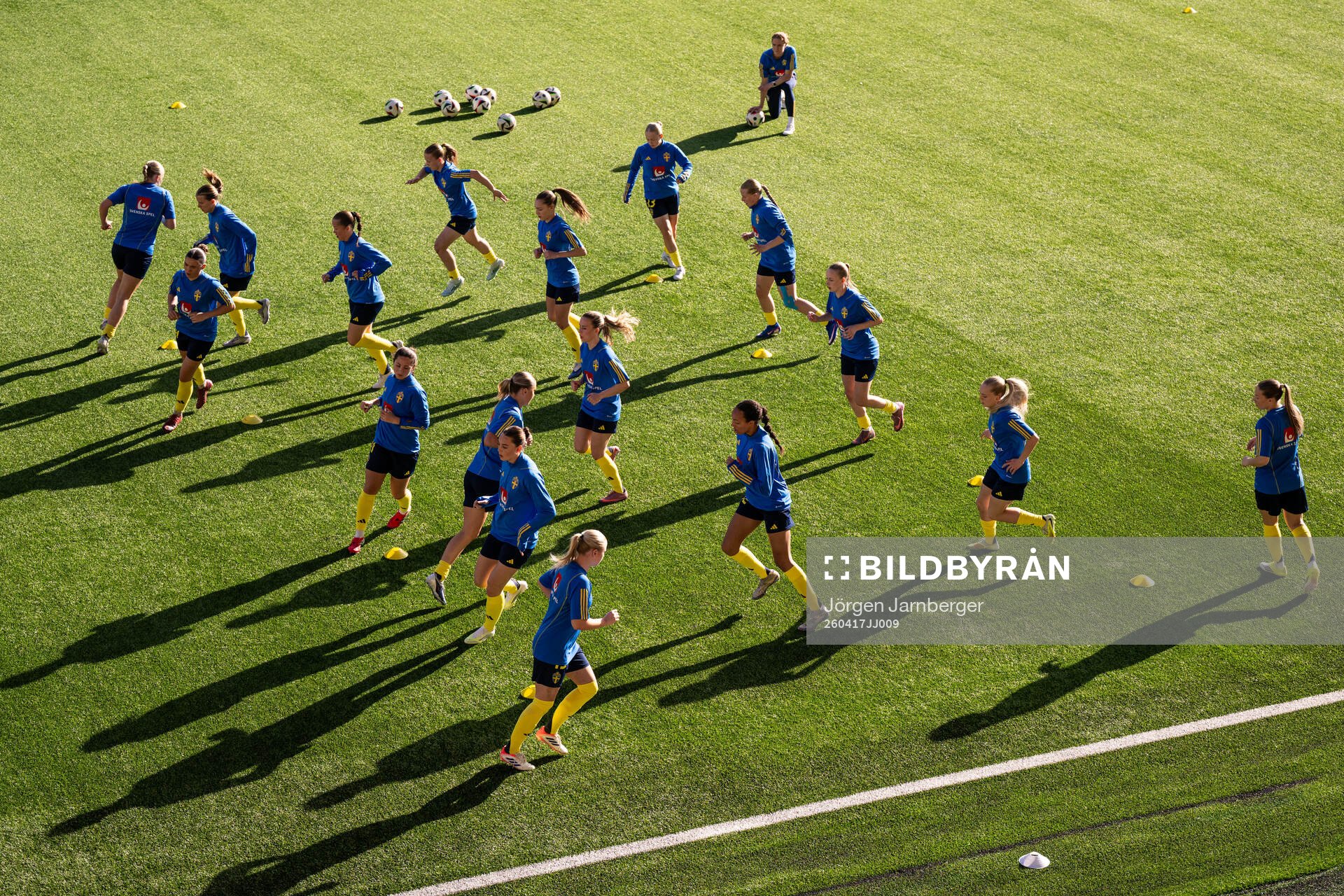 Players of Sweden