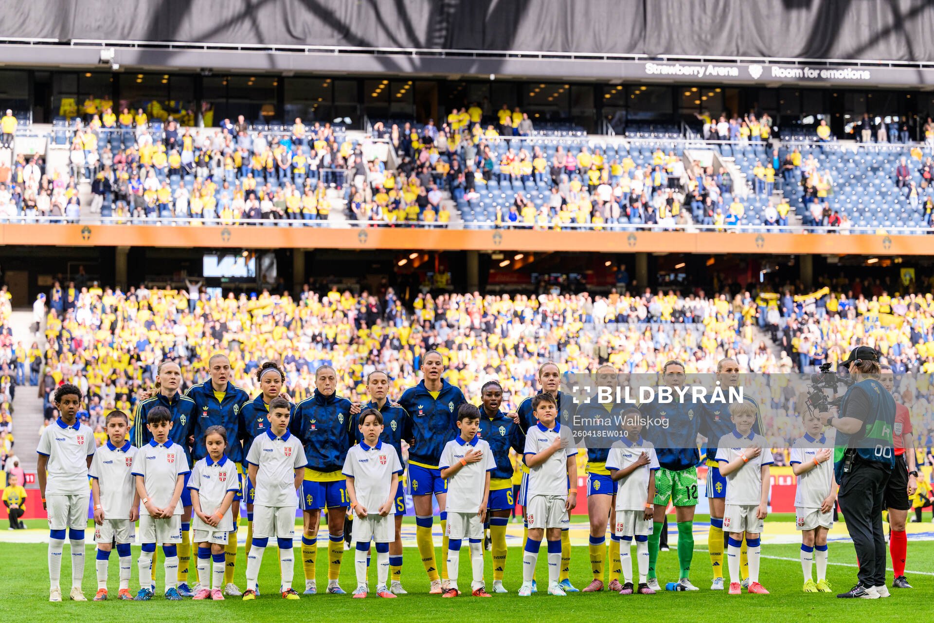 Players of Sweden