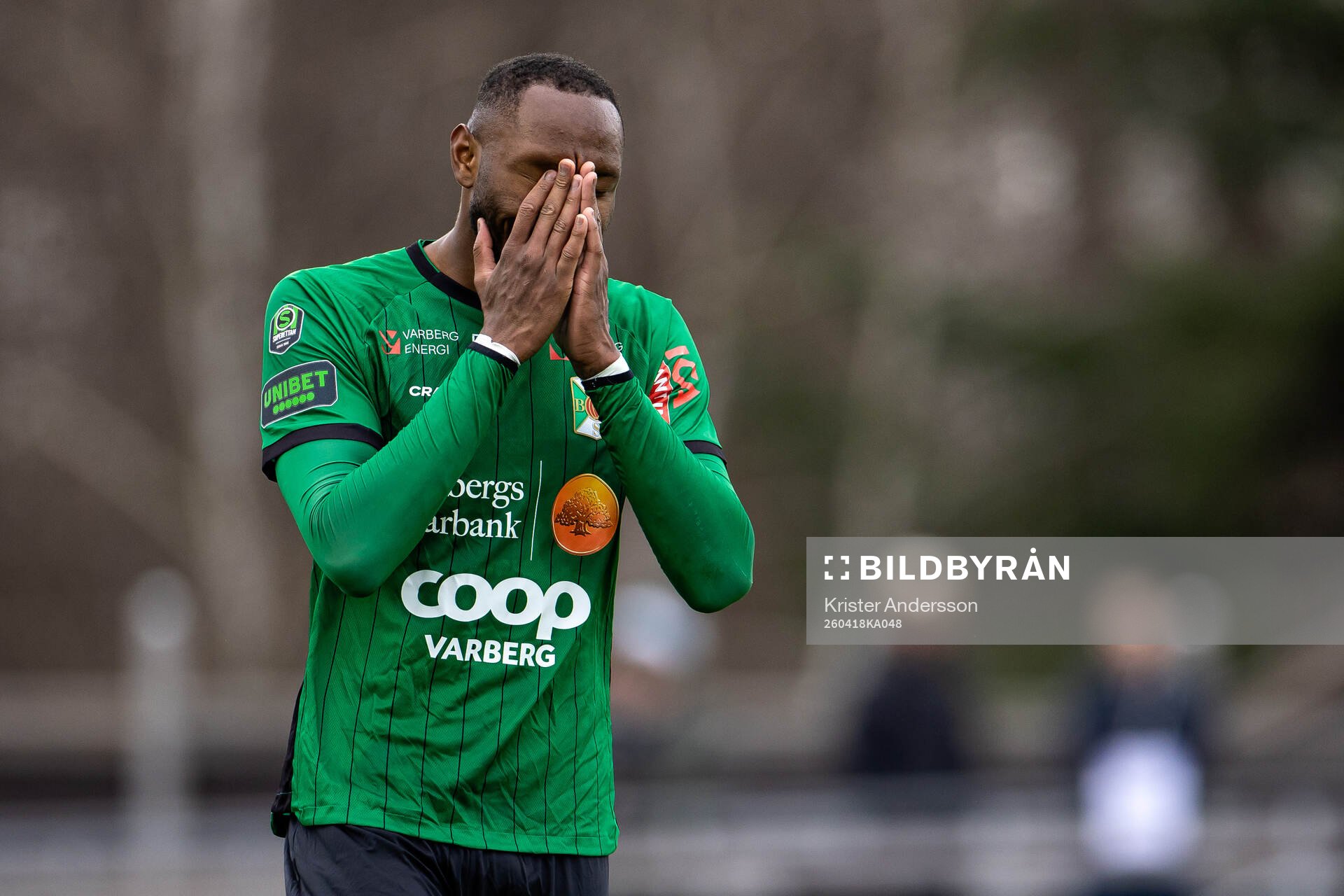 Varbergs Shanyder Borgelin