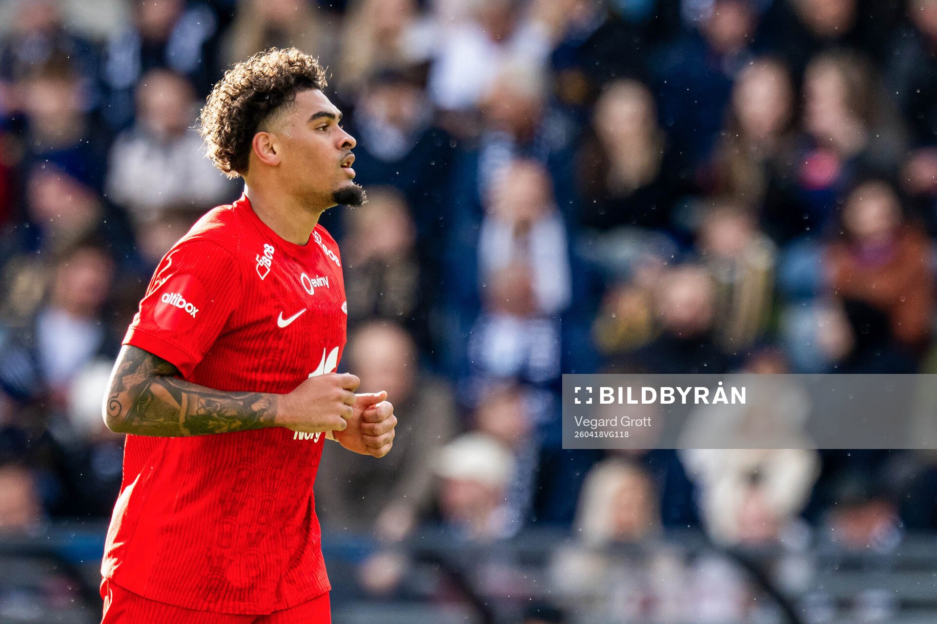 Noah Holm of Brann