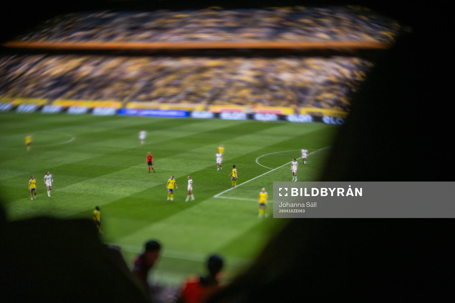Players of Sweden