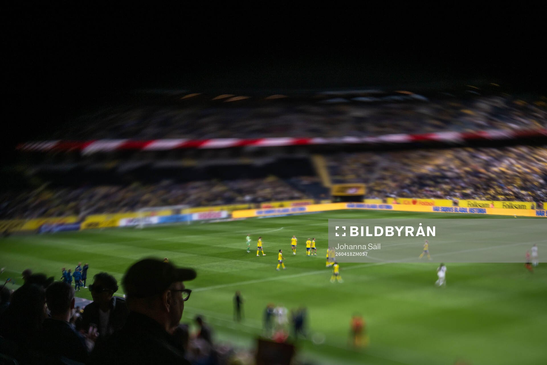 Players of Sweden