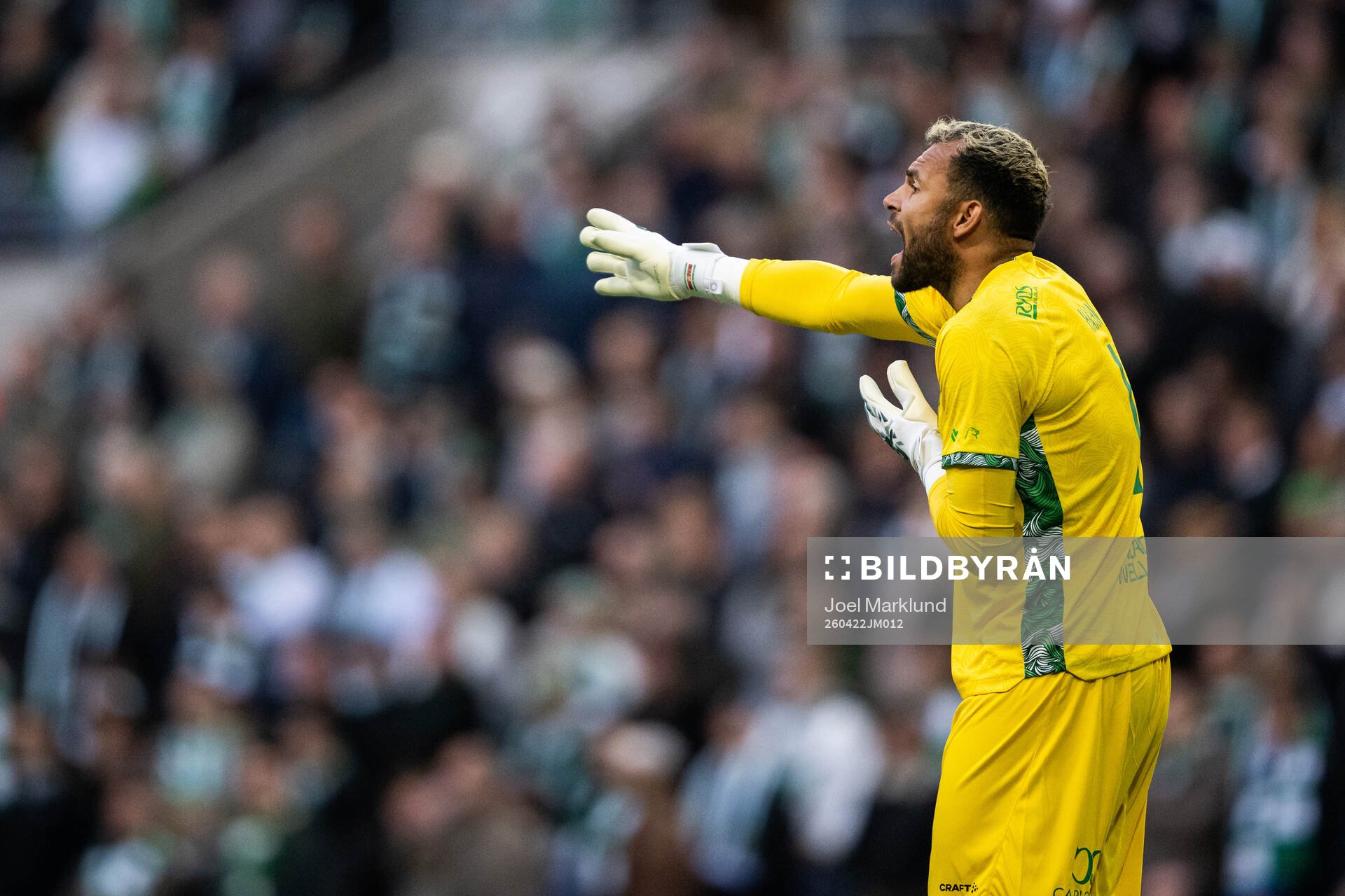 Hammarbys målvakt Warner Hahn