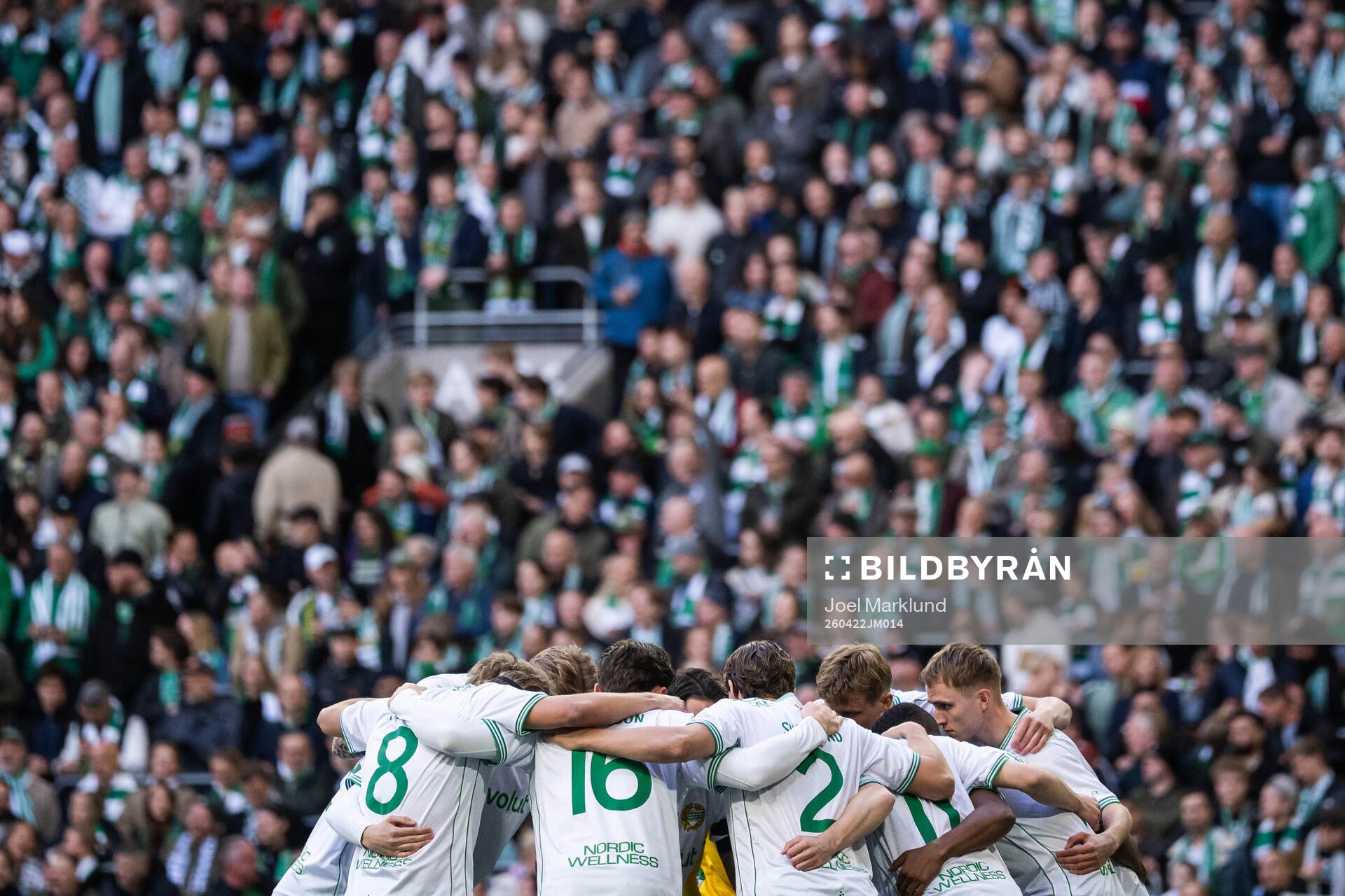 Hammarbys spelare
