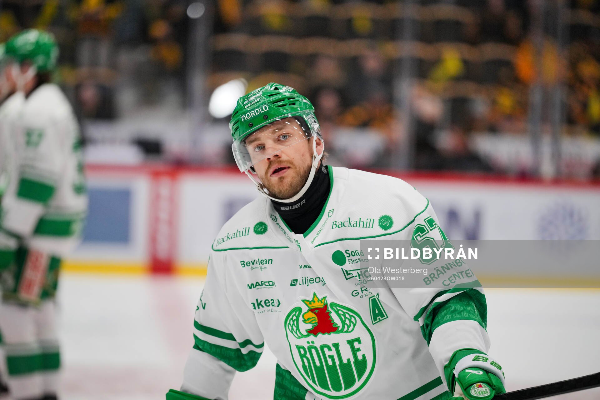 Rögles Leon Bristedt