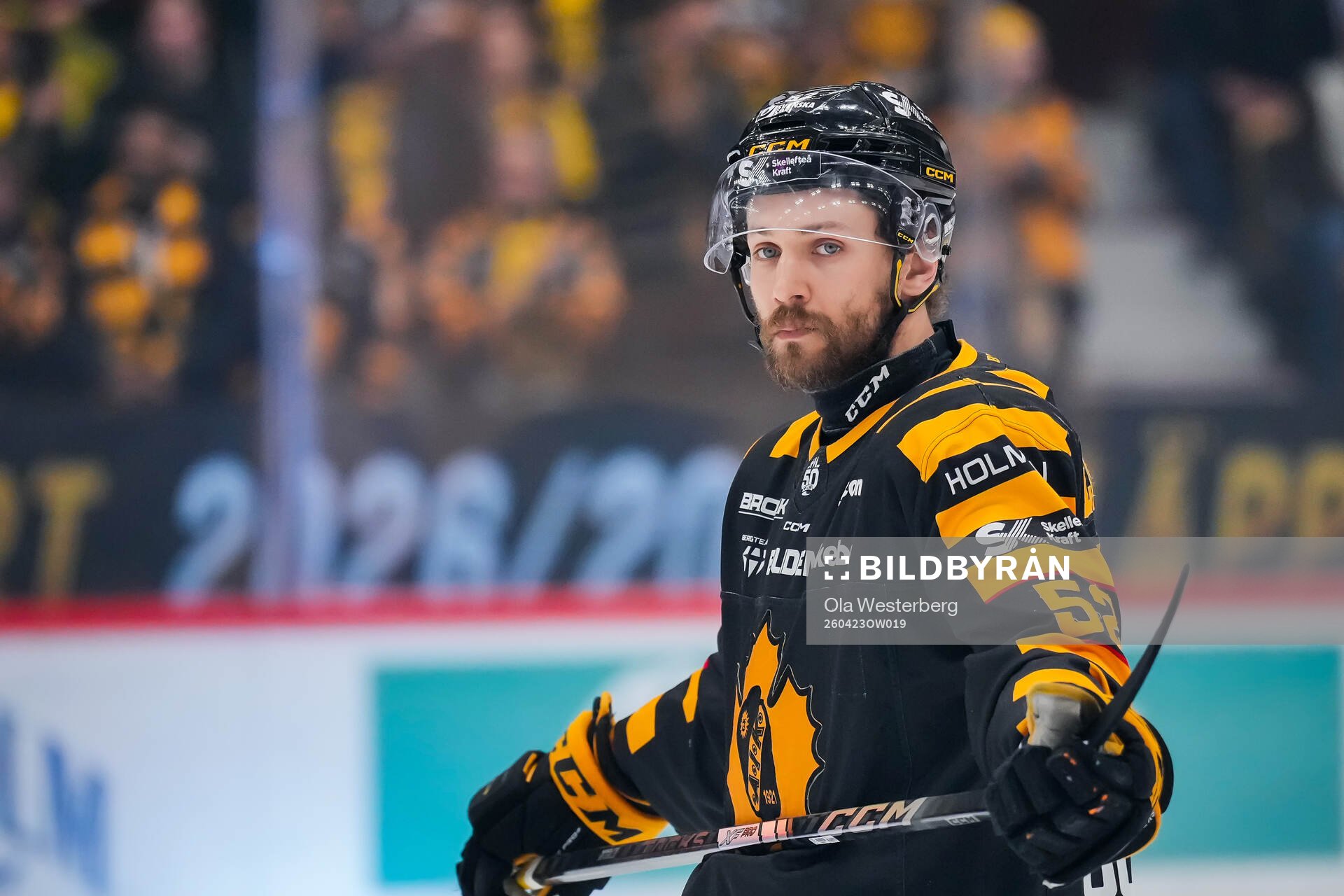 Skellefteås Arvid Lundberg