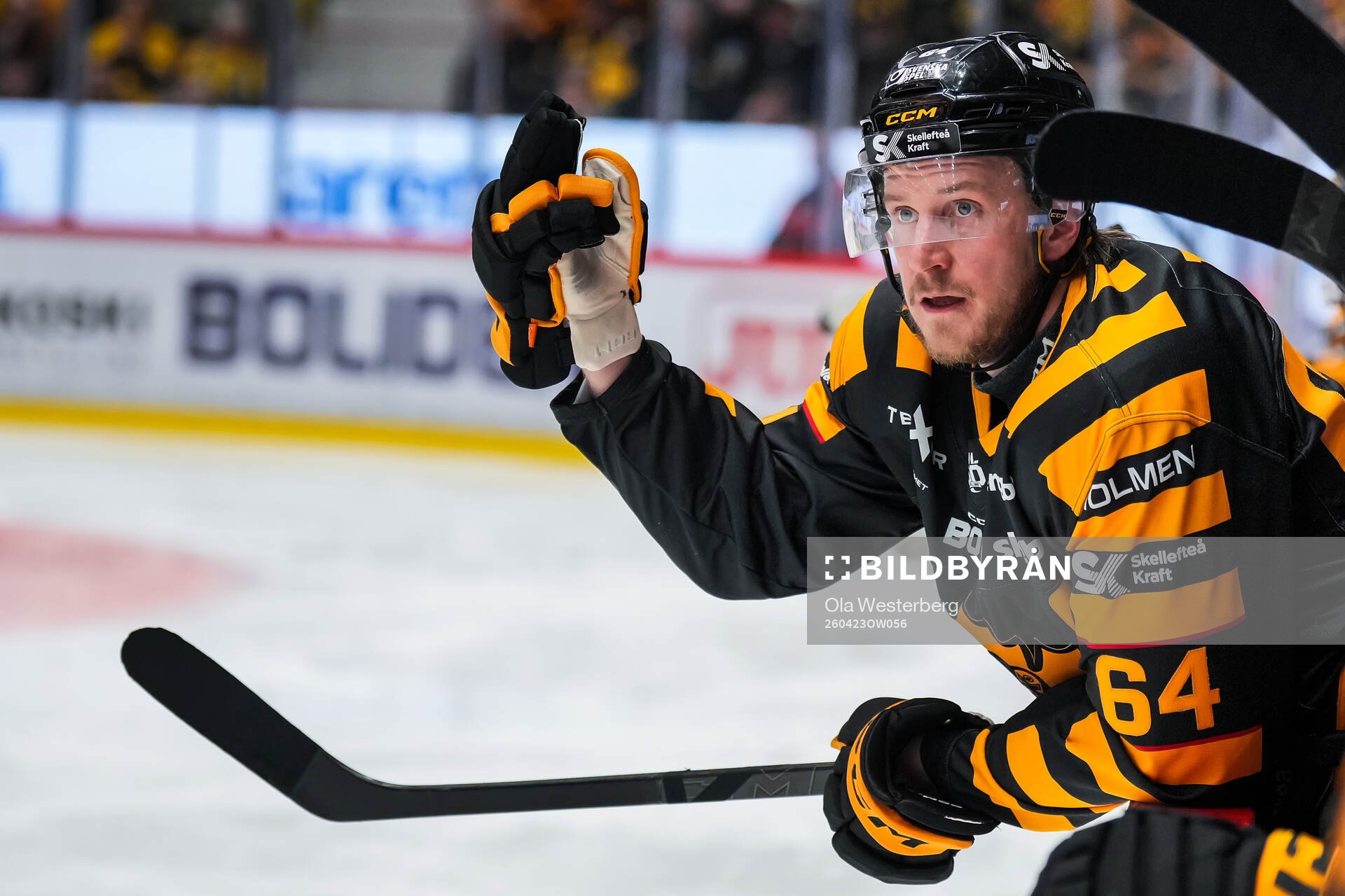 Skellefteås Jonathan Pudas