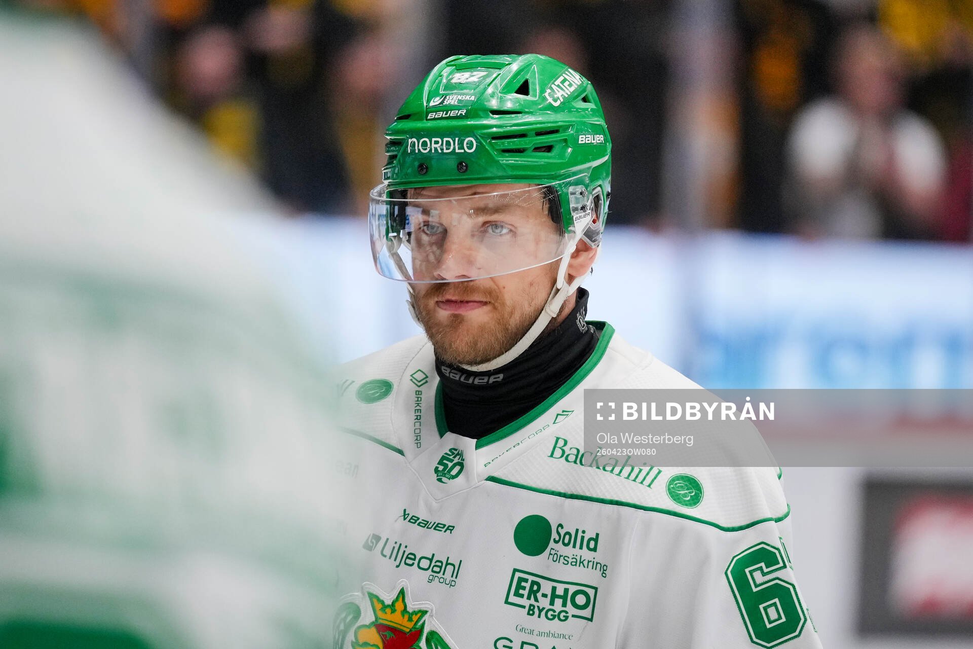 Rögles Leon Bristedt