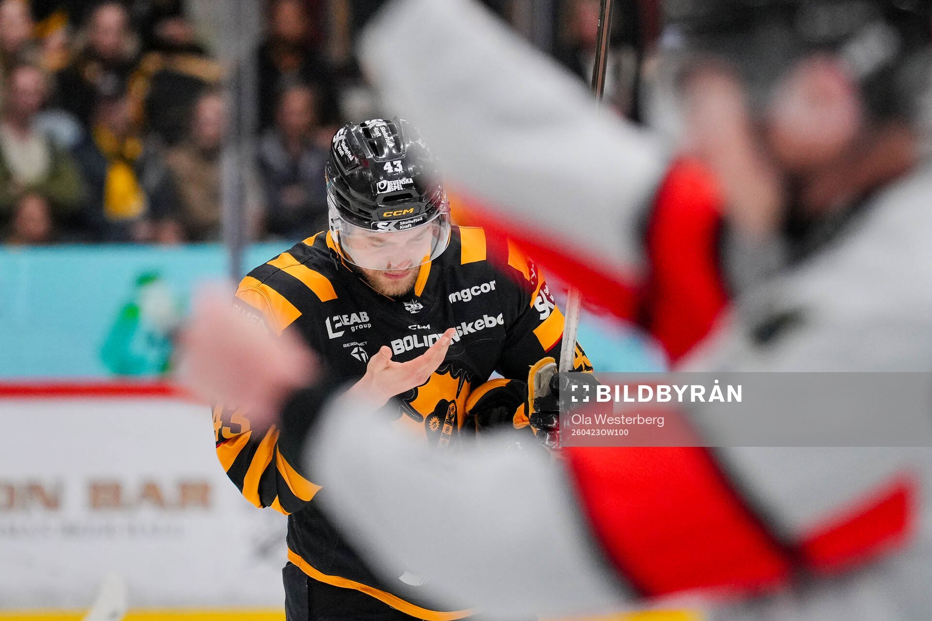 Skellefteås Max Krogdahl