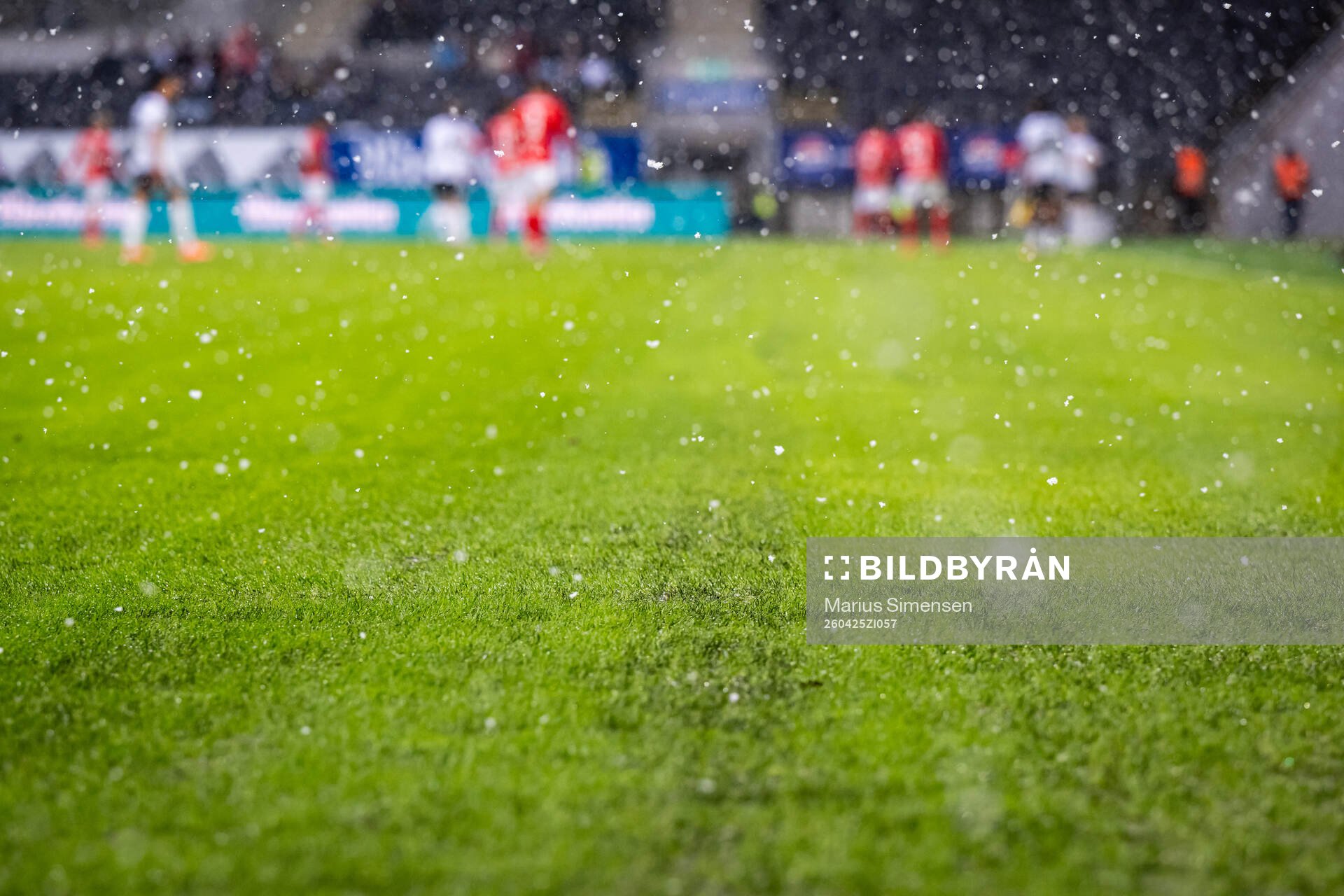 Quality of the grass at Lerkendal Stadion