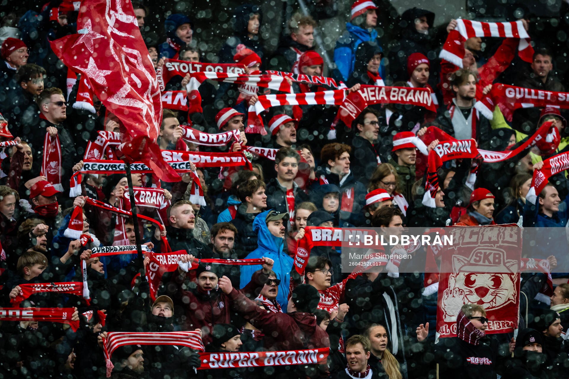 Spectators in the stands