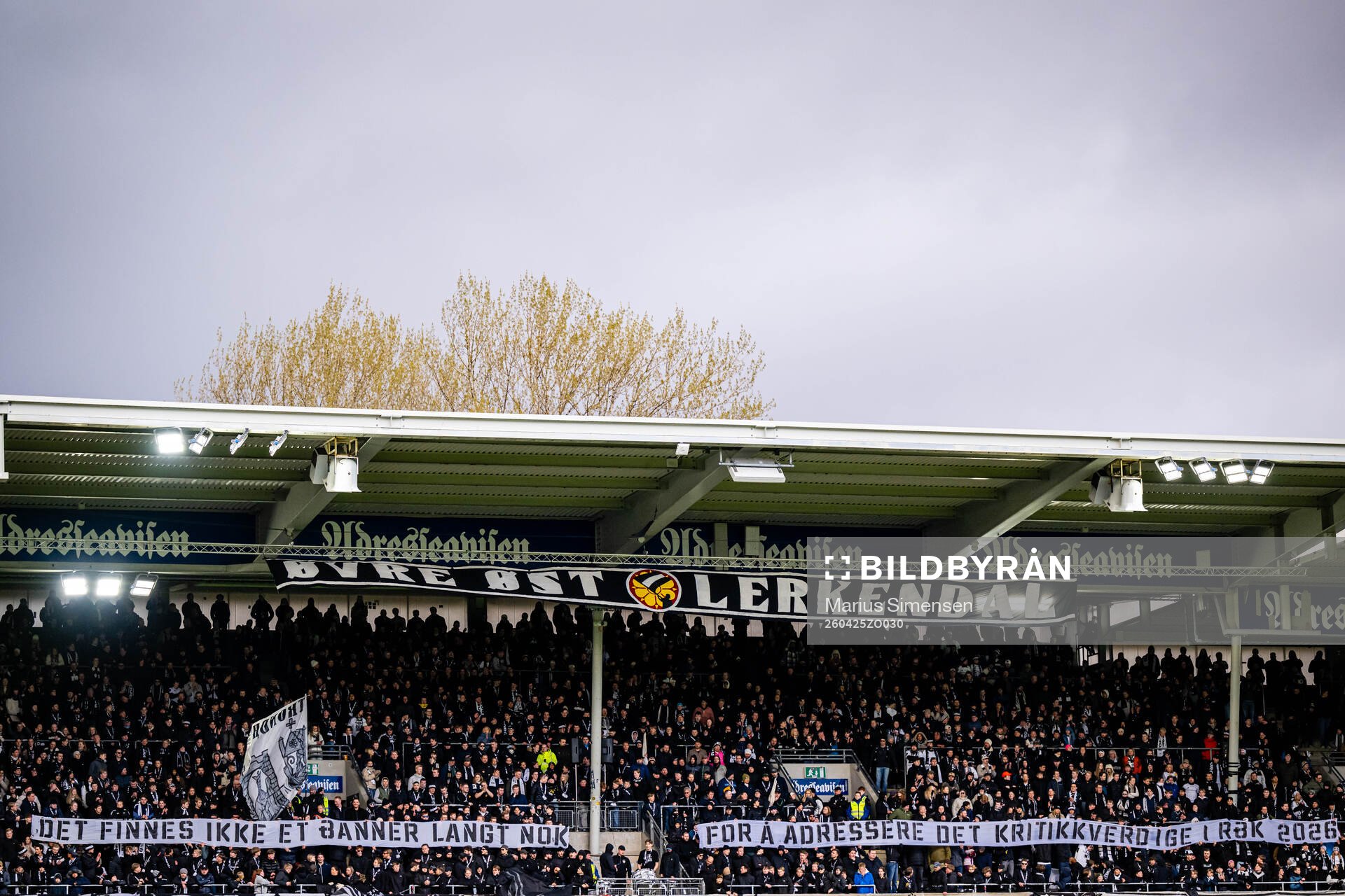 Spectators in the stands