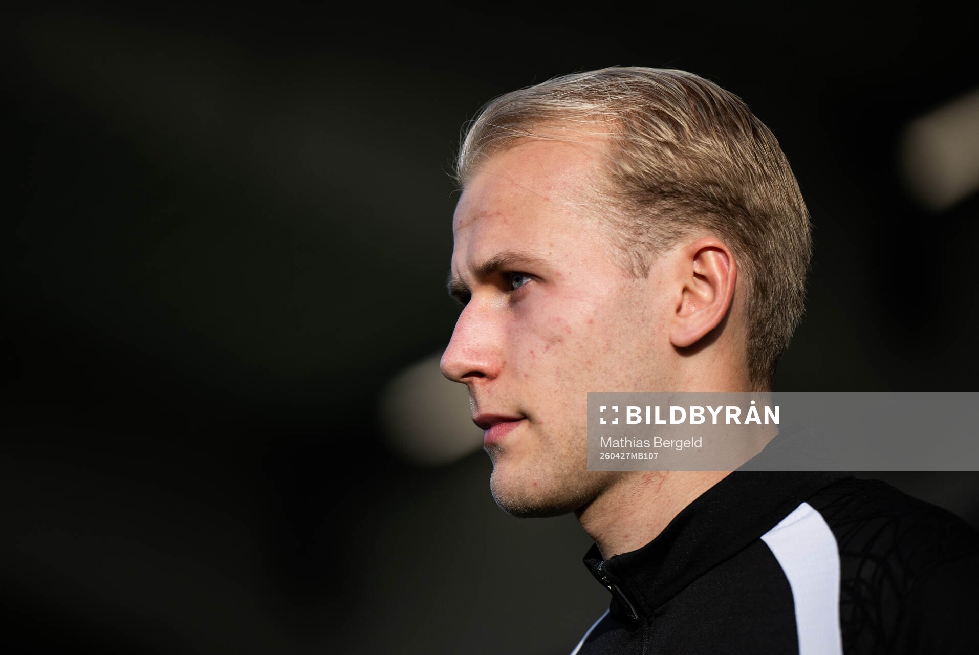 Häckens Harry Hilvenius