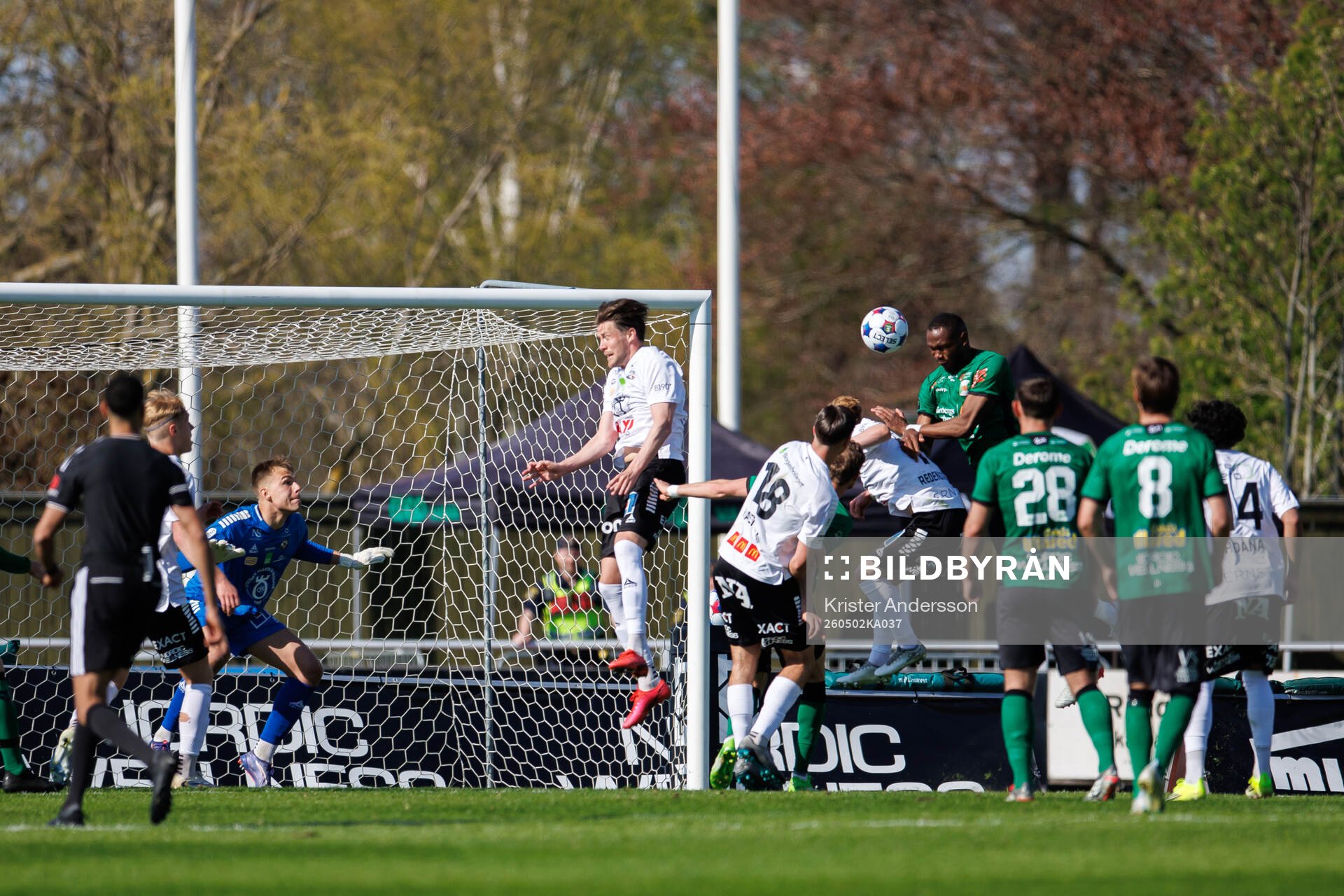 Varbergs Shanyder Borgelin