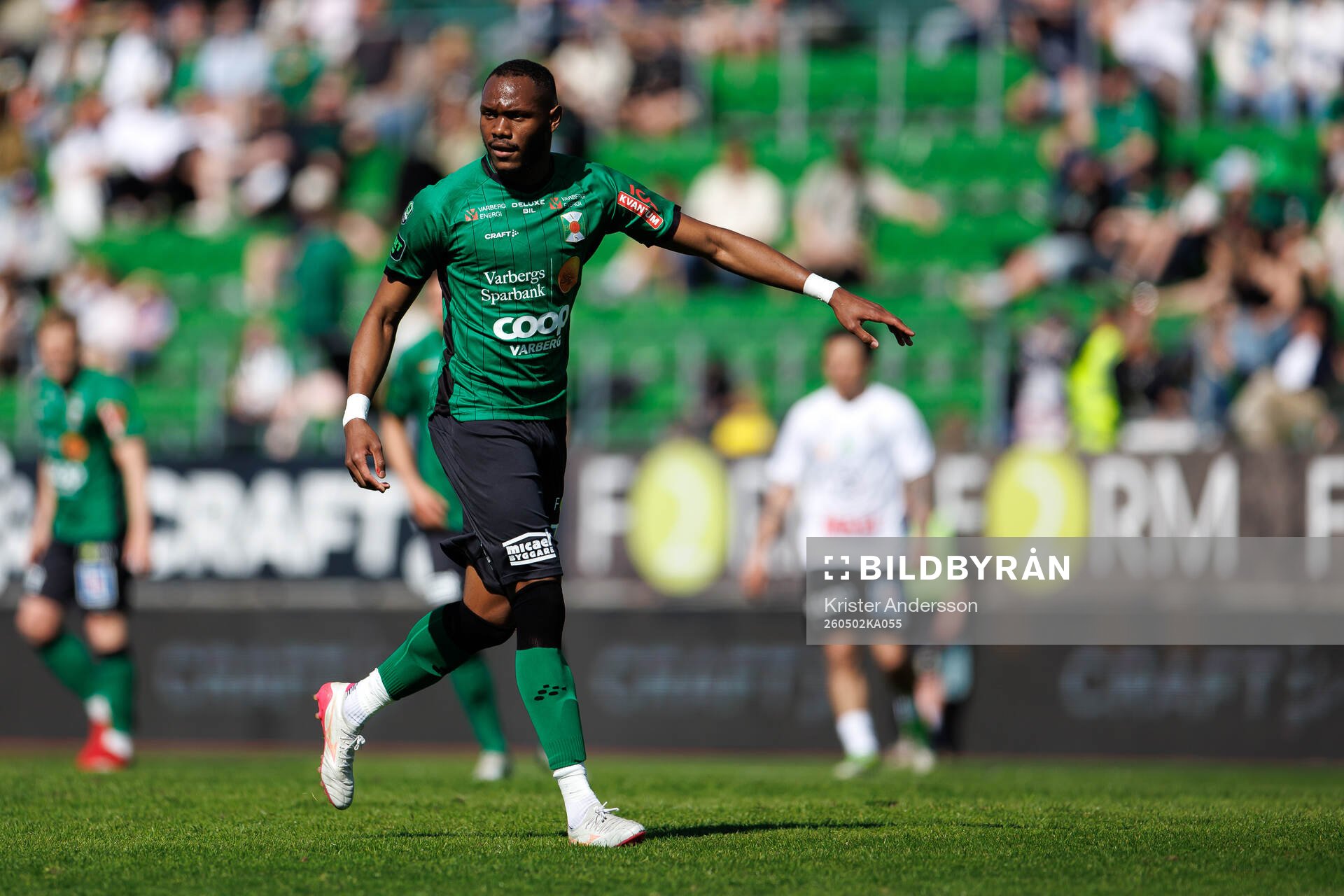 Varbergs Shanyder Borgelin