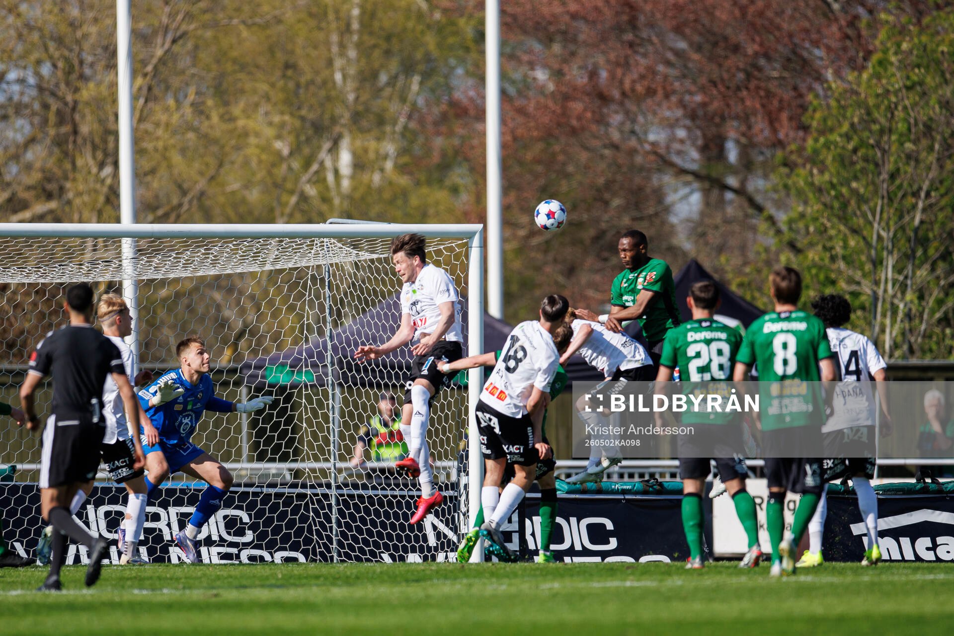 Varbergs Shanyder Borgelin