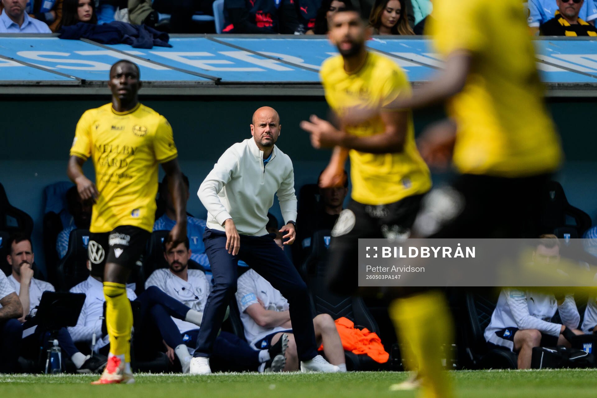 Malmö FFs huvudtränare Miguel Angel Ramirez
