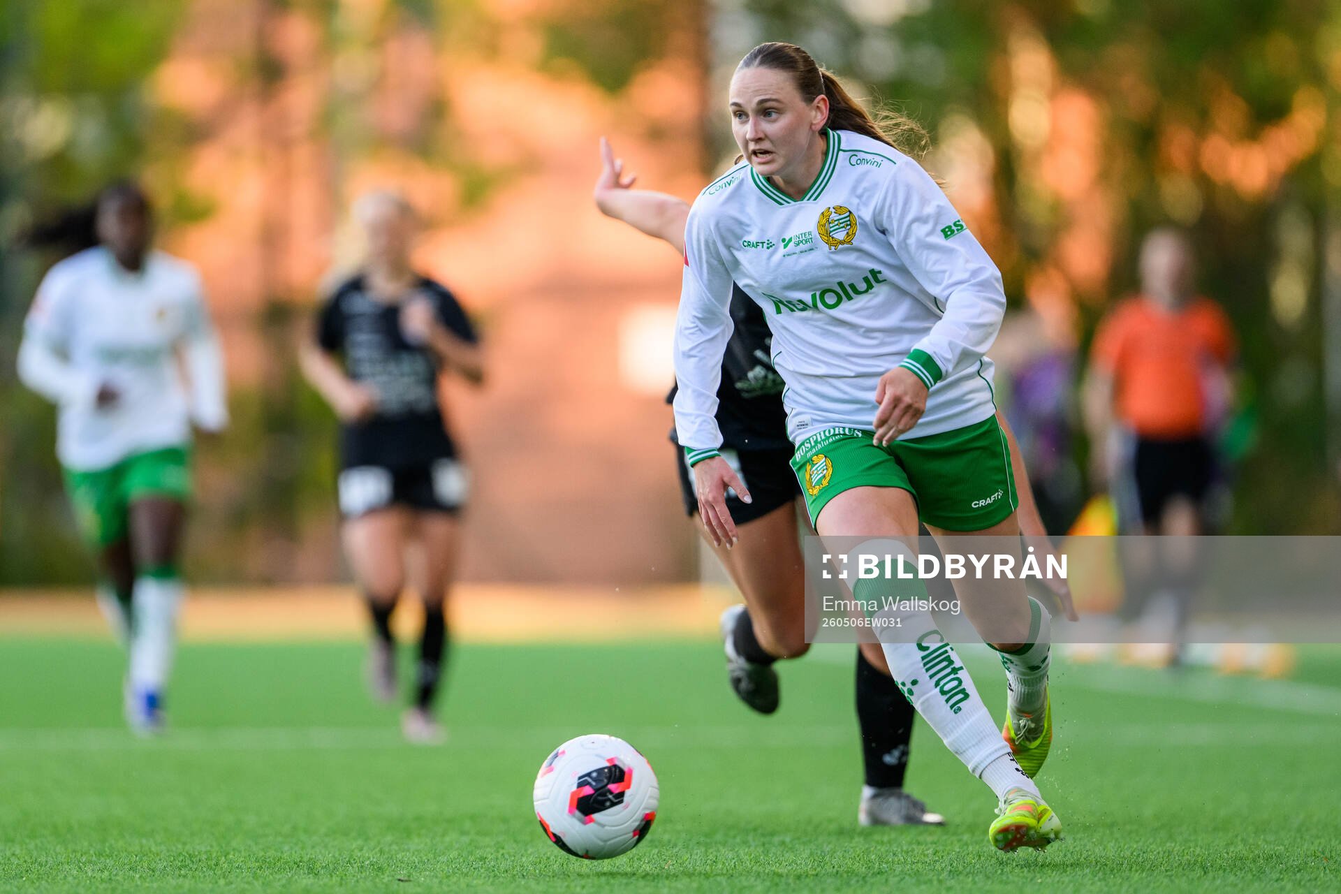Hammarbys Vilde Hasund
