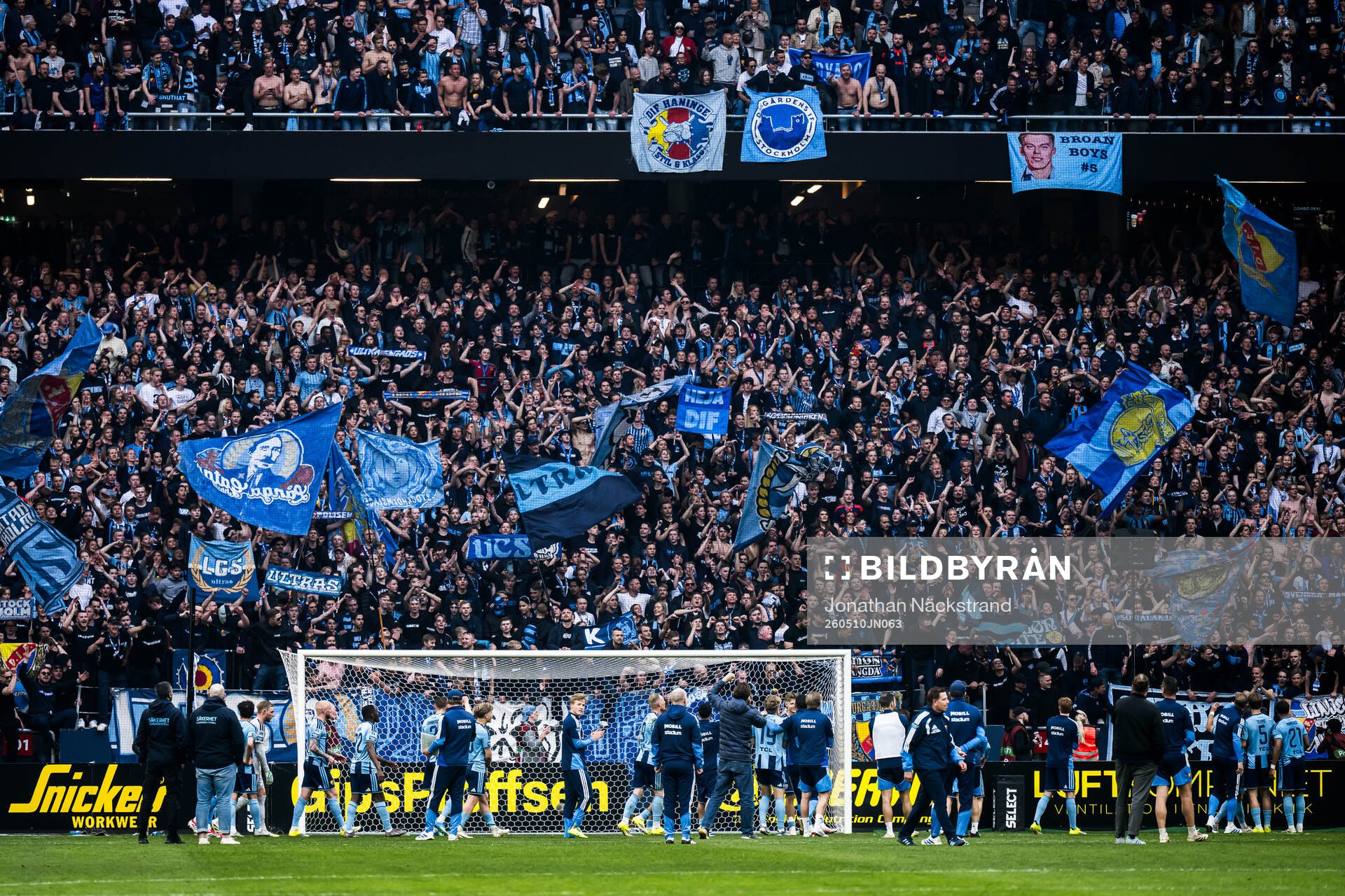 Djurgårdens supportrar jublar