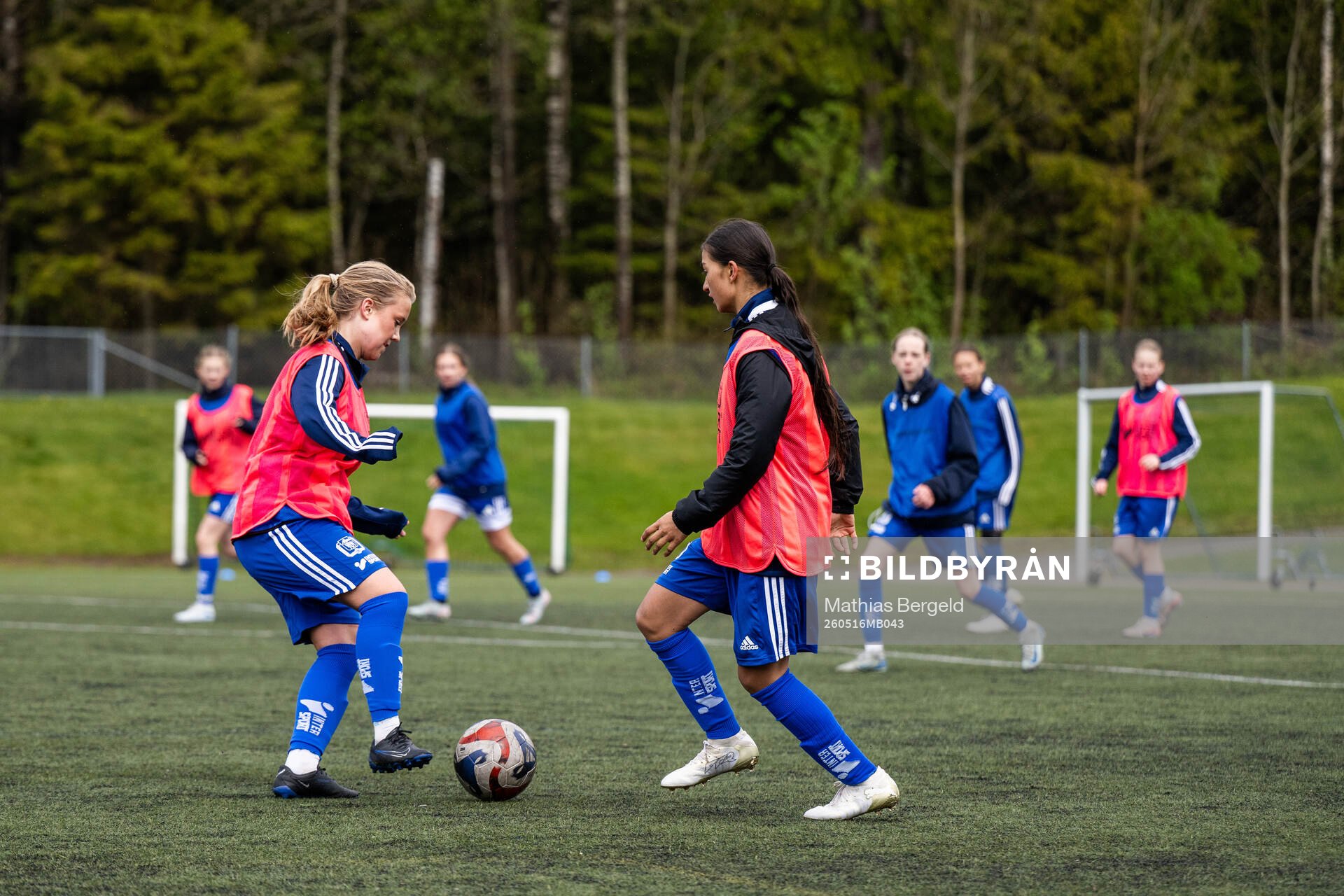Spelare från Gotlands distrikt