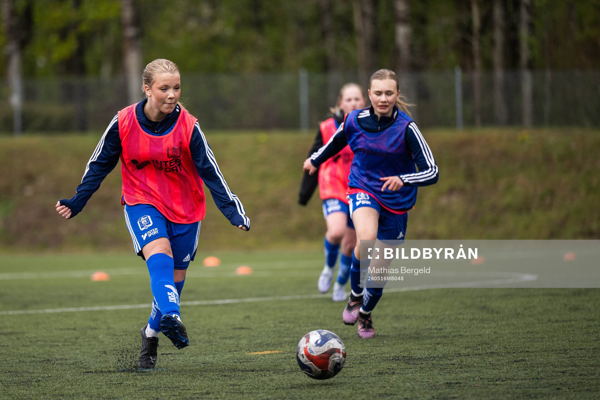 Spelare från Gotlands distrikt