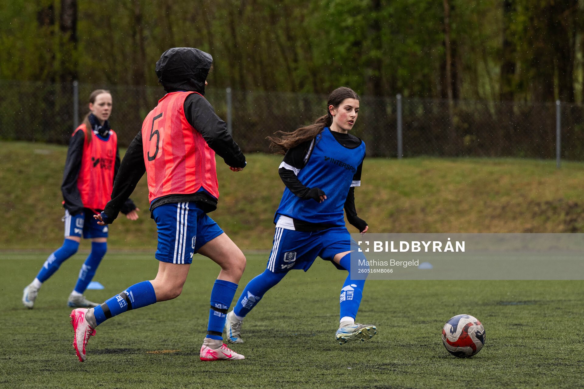 Spelare från Gotlands distrikt