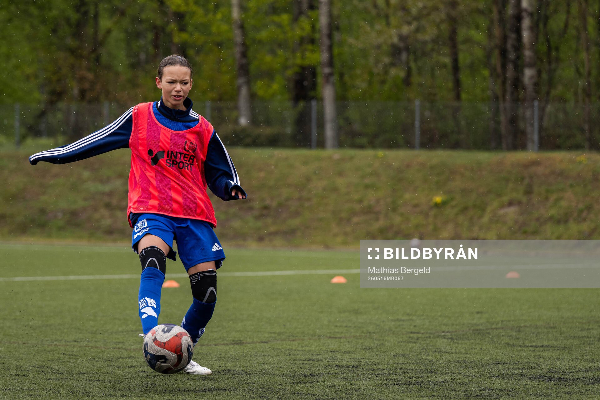 Spelare från Gotlands distrikt