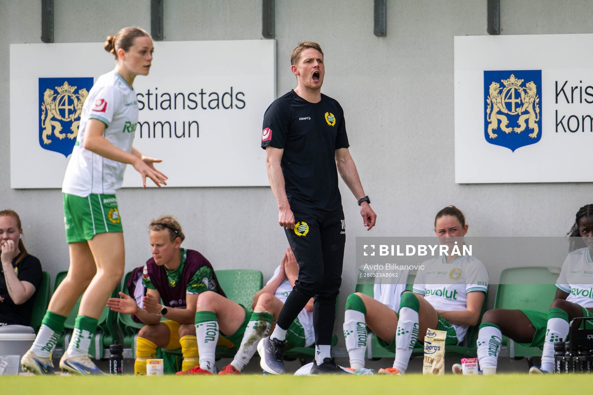 Hammarbys tränare William Strömberg