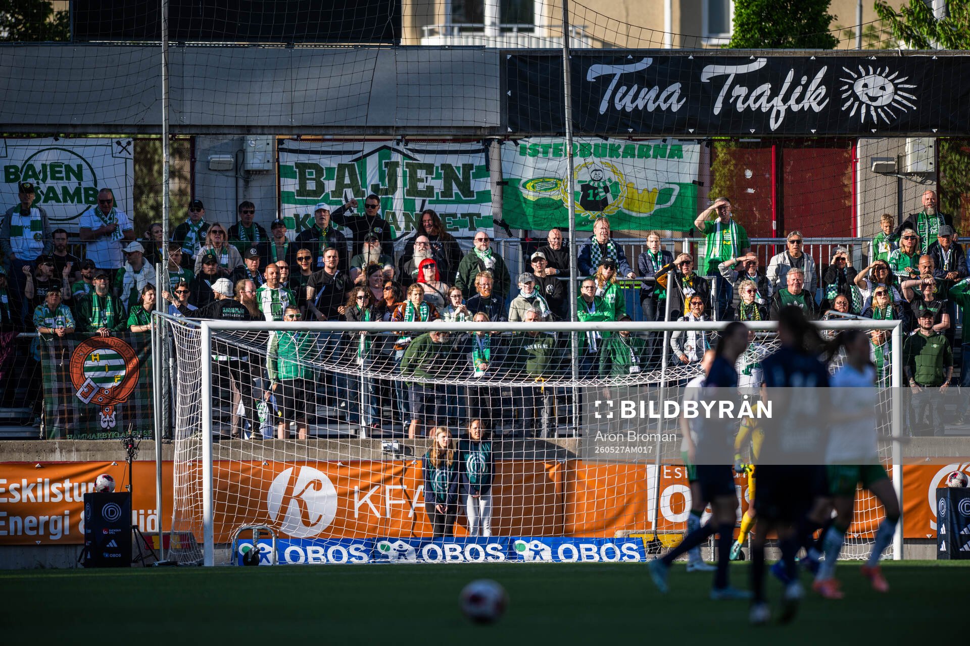 Hammarbys supportrar