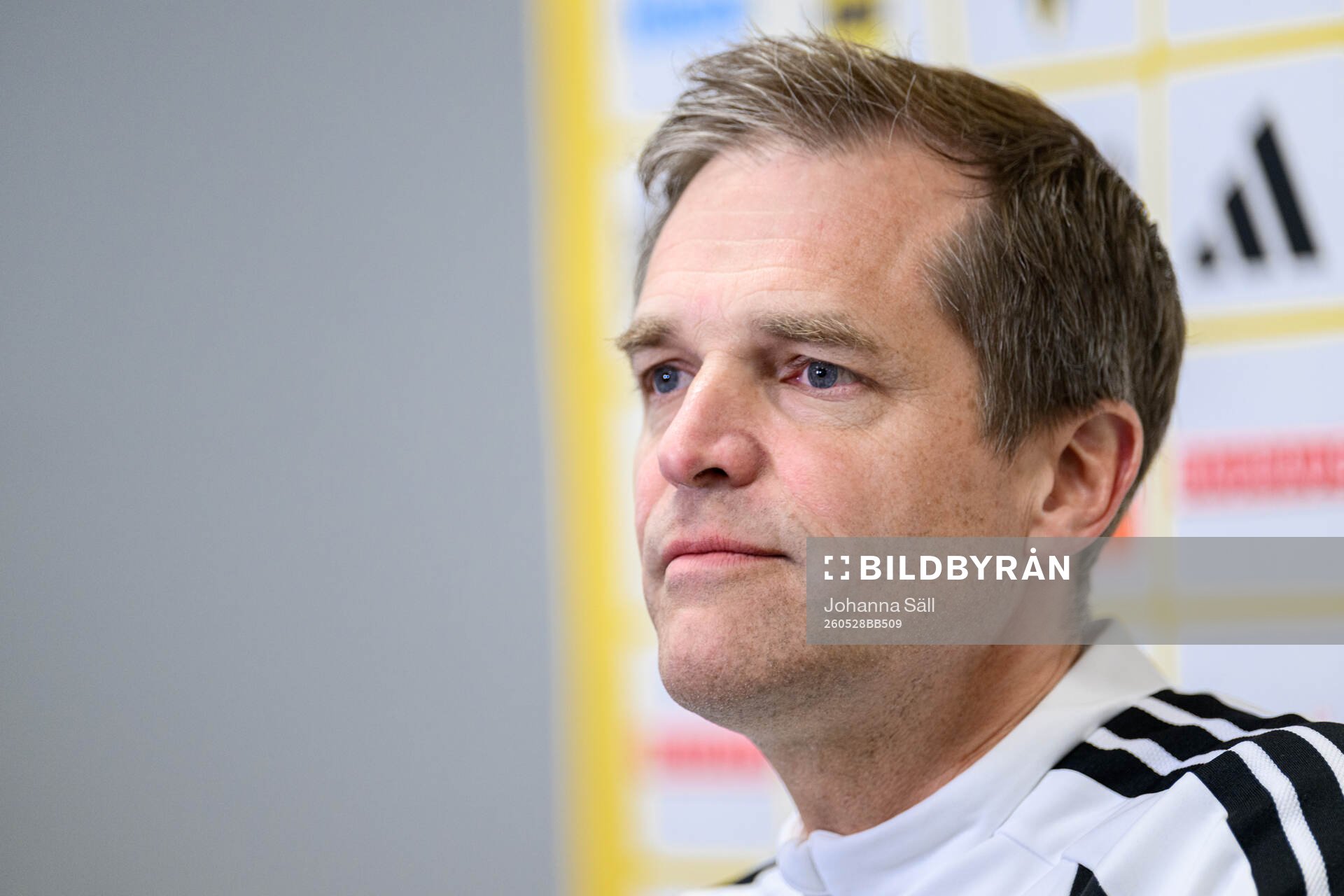 Jonas Werner, doctor of the Swedish national football team
