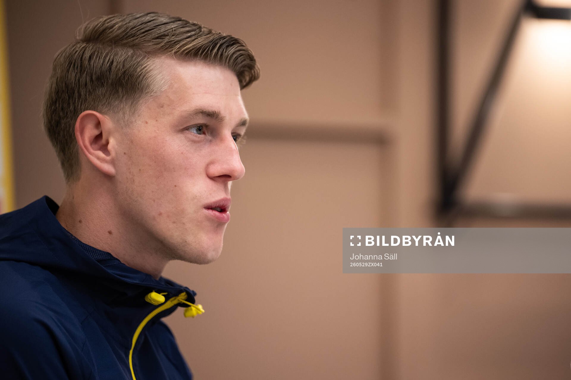 of the Swedish national football team