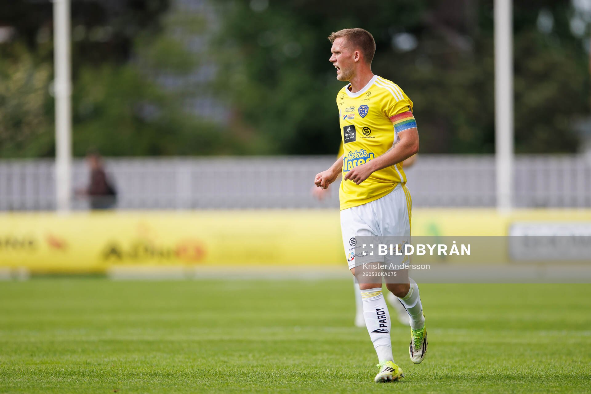 Falkenbergs Tim Stålheden
