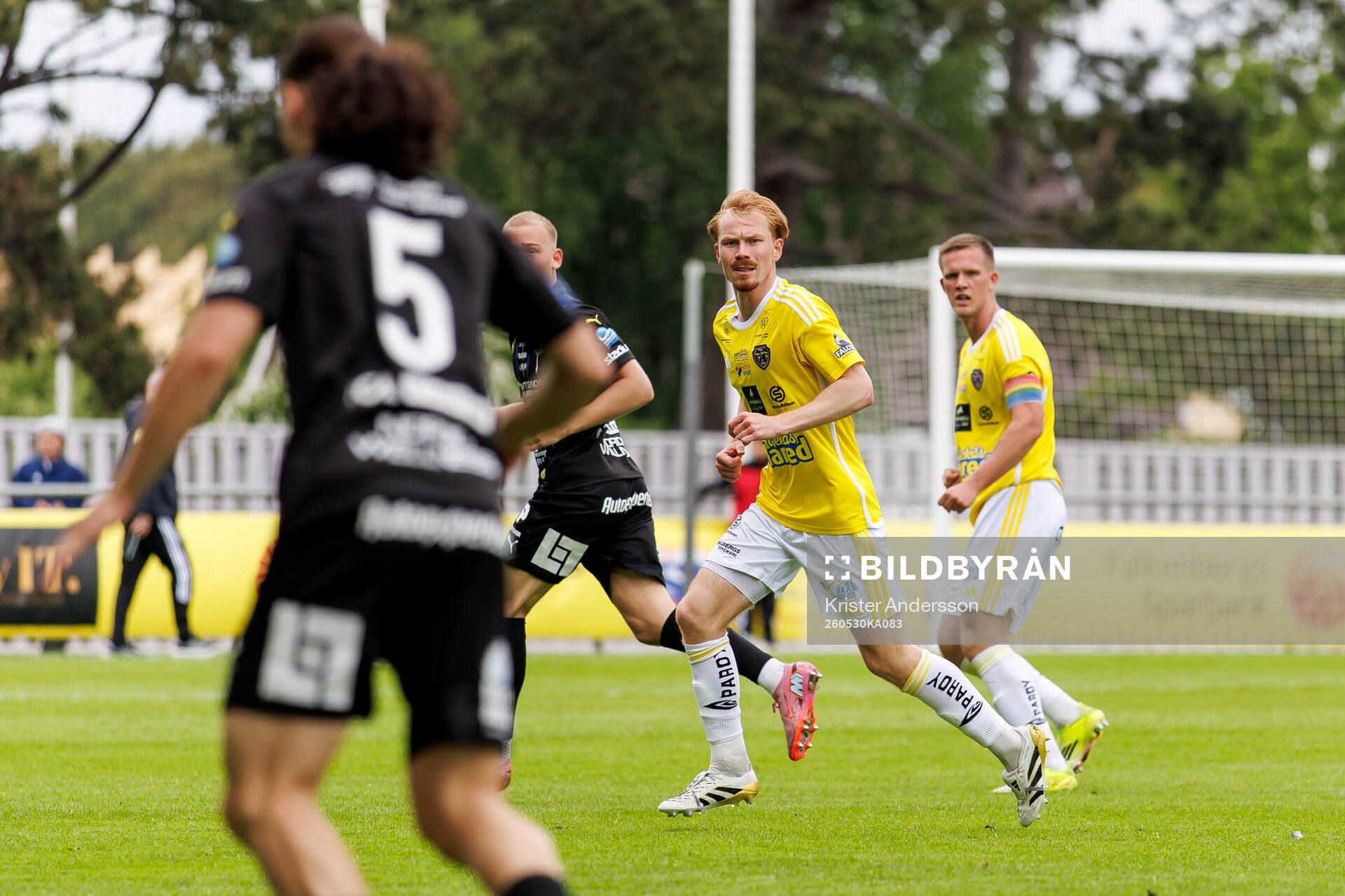 Falkenbergs Linus Borgström