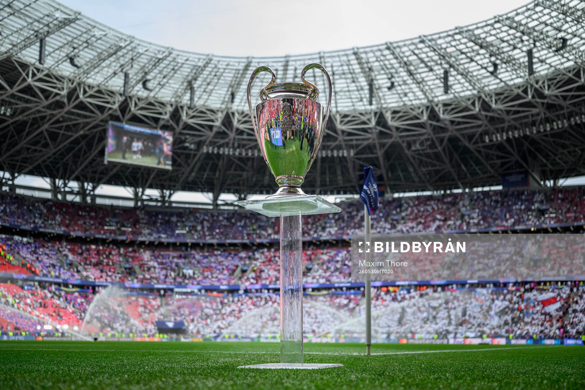 The trophy