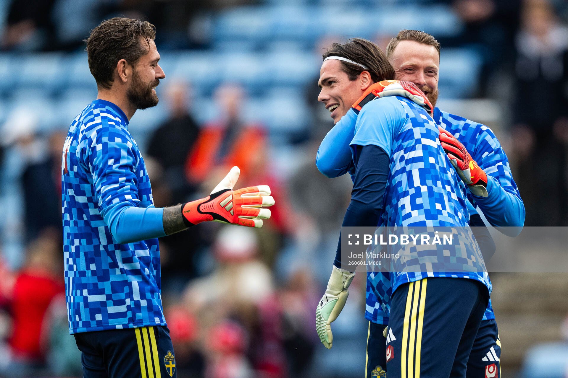 goalkeeper Kristoffer Nordfeldt, goalkeeper Jacob Widell