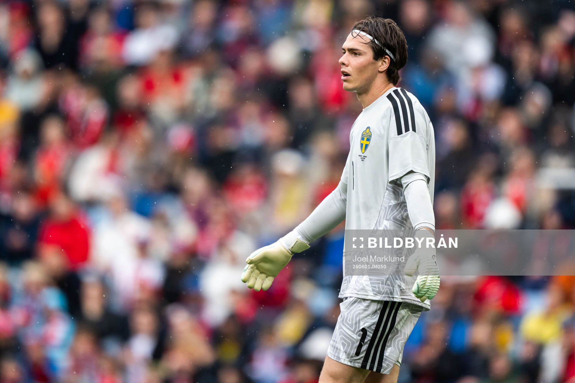 Goalkeeper Jacob Widell Zetterström of Sweden