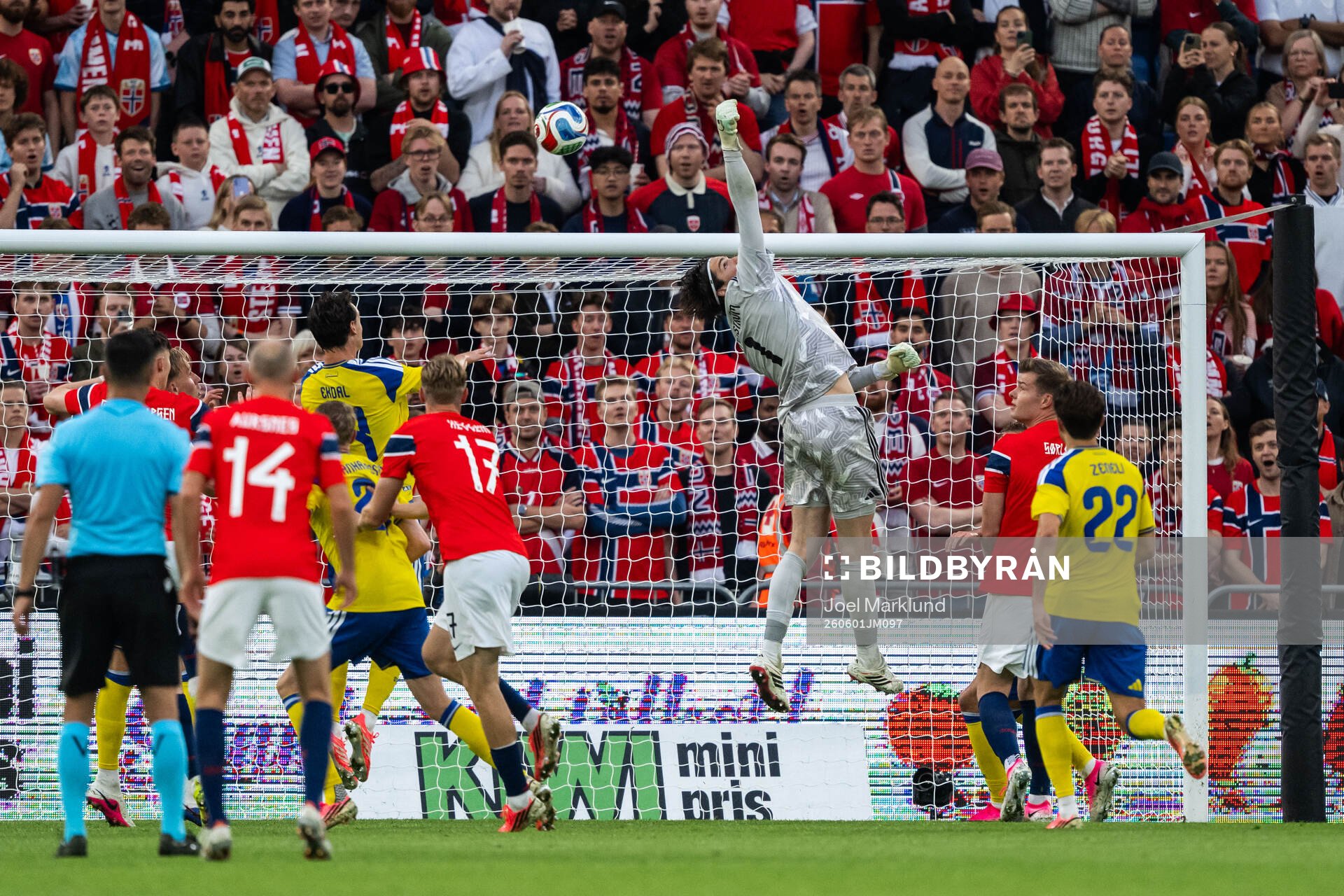 Goalkeeper Jacob Widell Zetterström of Sweden