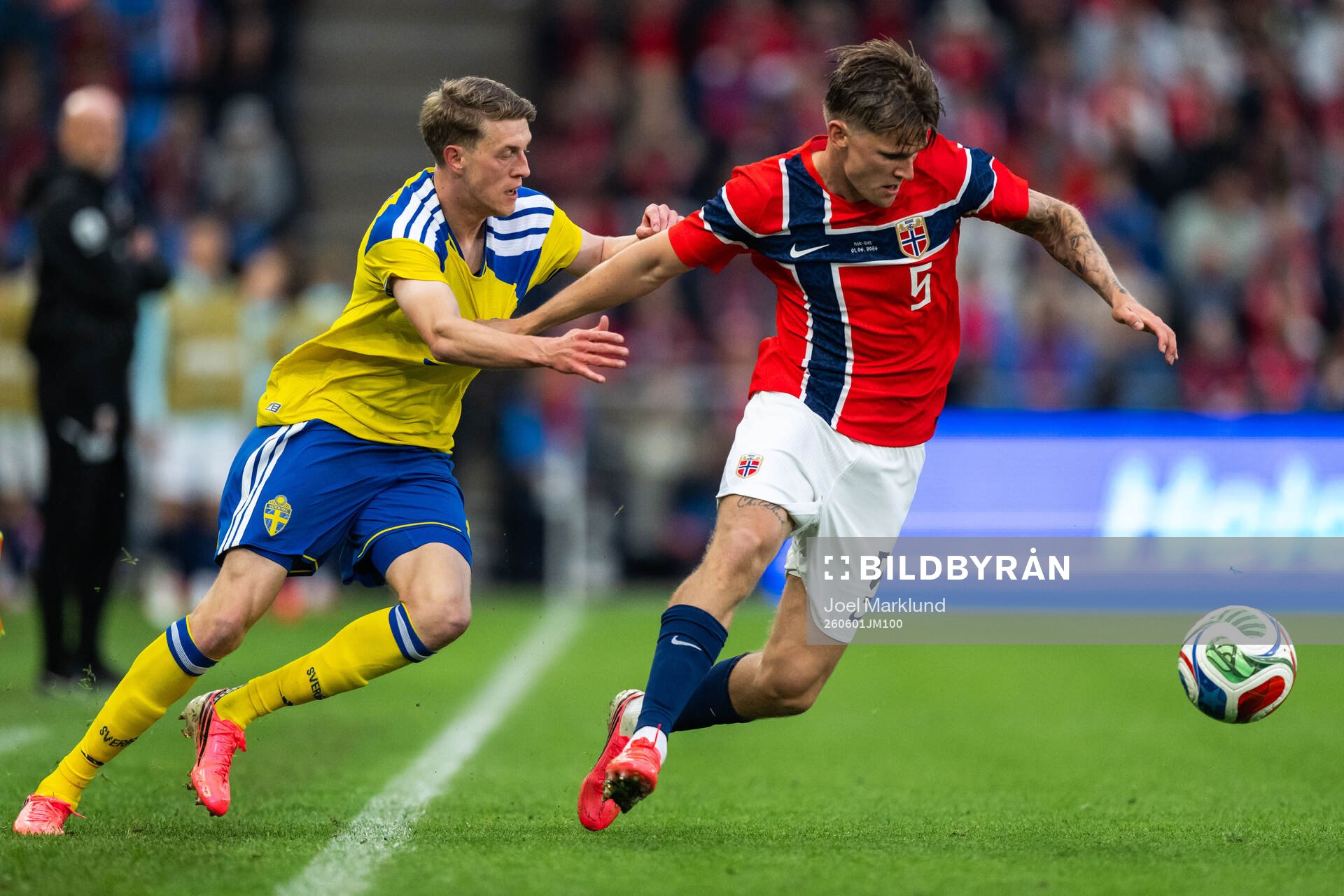Alexander Bernhardsson of Sweden and David Møller Wolfe of