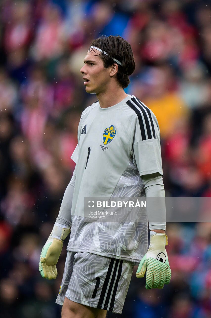 Goalkeeper Jacob Widell Zetterström of Sweden