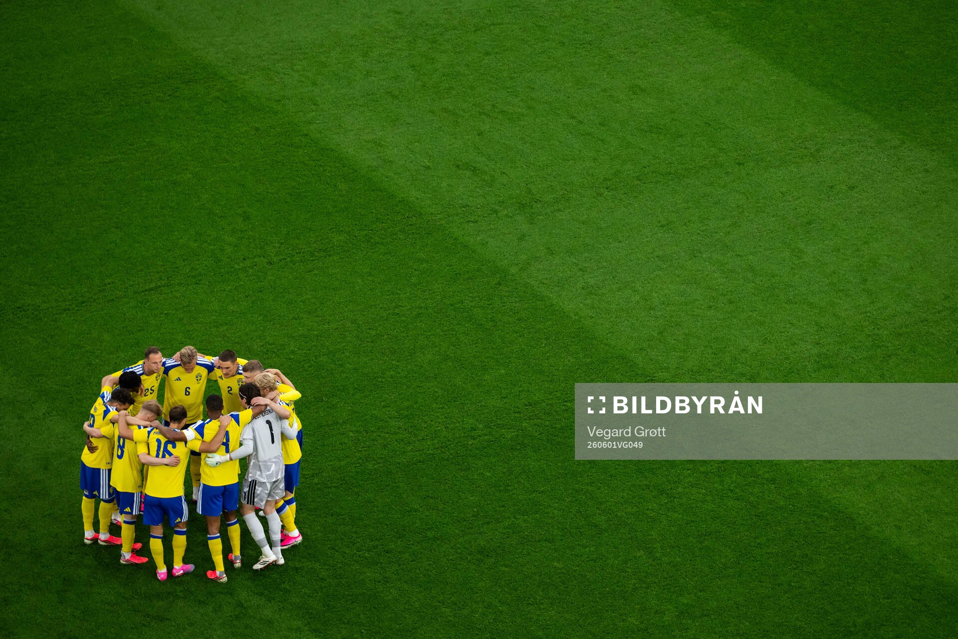 Players of Sweden