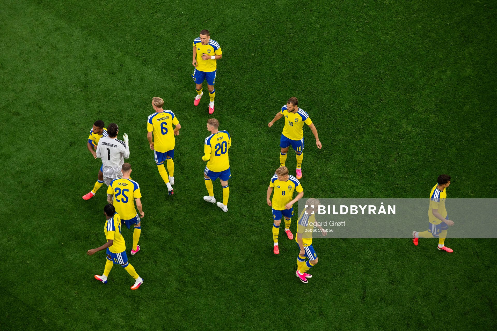 Players of Sweden