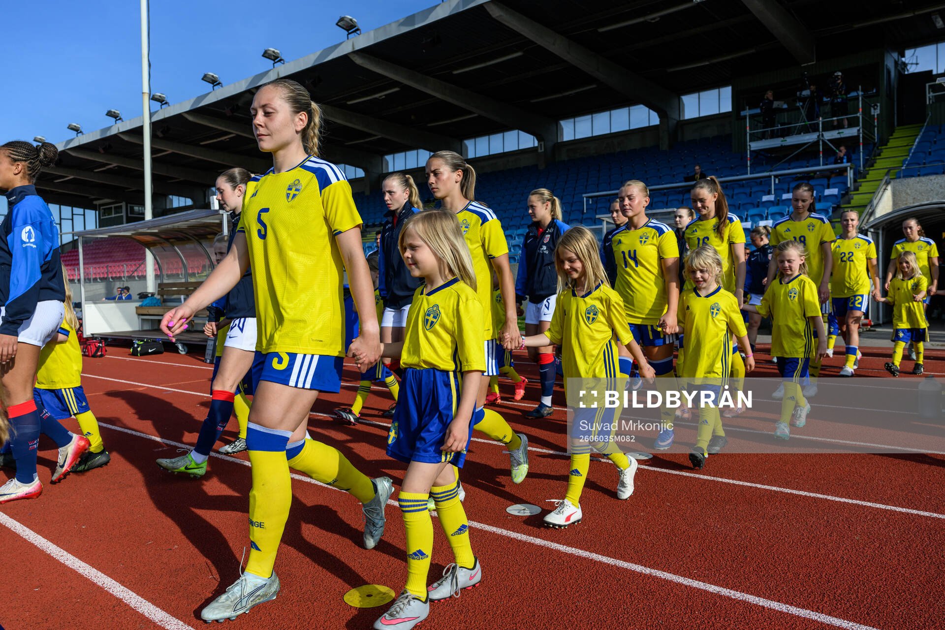 Players of Sweden