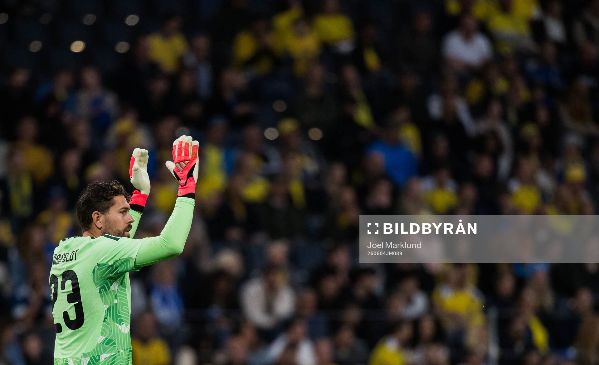 Goalkeeper Kristoffer Nordfeldt of Sweden