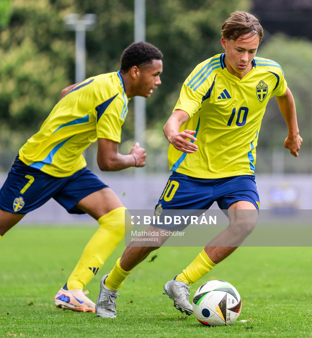 Vidar Skoglund